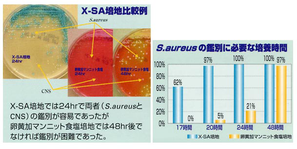 日水金黄色葡萄球菌显色培养基X-SA