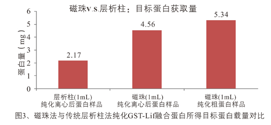 GST融合蛋白纯化磁珠