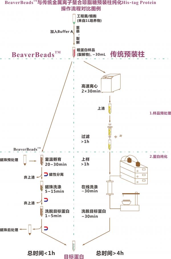 His-tag蛋白纯化磁珠