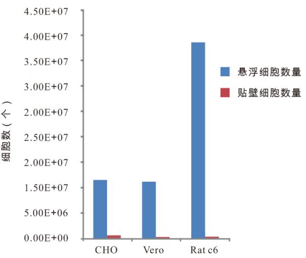 悬浮细胞培养表面 25培养瓶