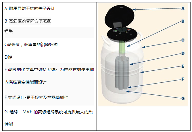 美国MVE/液氮罐/SC33/26SC33/26