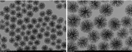 树枝状介孔二氧化硅微球/纳米颗粒