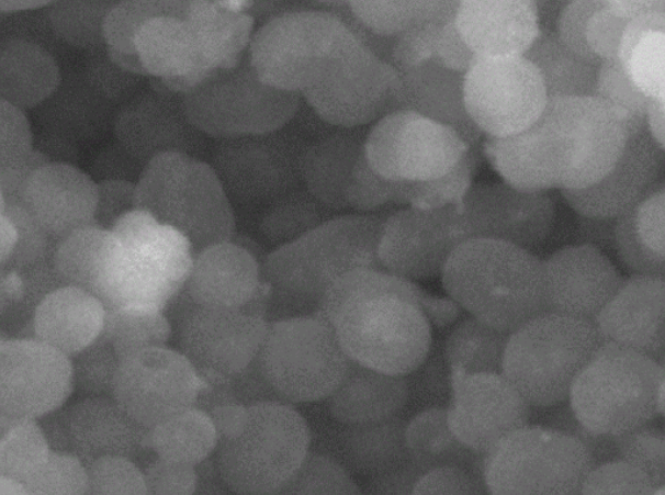 氨基修饰二氧化硅包裹四氧化三铁微球粉末/溶液300nm