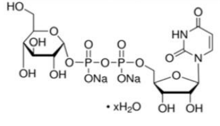 UDP-葡萄糖（UDP-Glc）|CAS:117756-22-6 28053-08-9