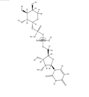 UDP-阿拉伯糖|cas15839-78-8|UDP-L-arabinose