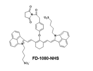 FD-1080 NHS 近红外二区荧光染料