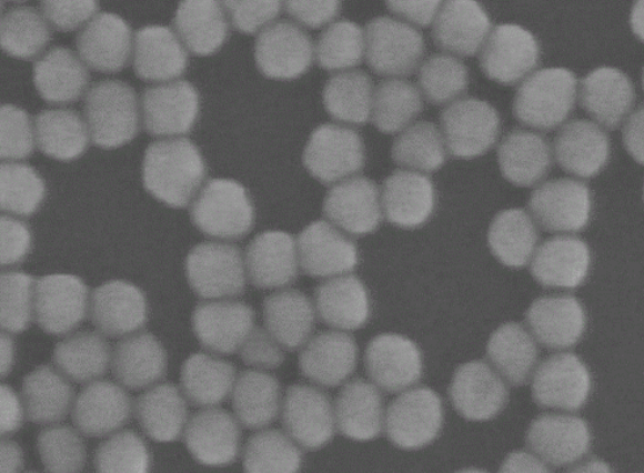 纳米金纳米颗粒 Gold nanoparticles