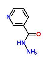 cas553-53-7|烟酸酰肼