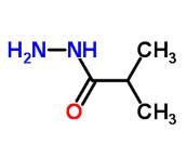 cas3619-17-8|异丁酸酰肼