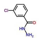 cas1673-47-8|3-氯苯甲酰肼