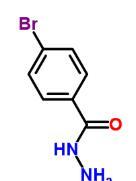 cas5933-32-4|对溴苯甲酰肼