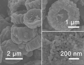 钛铌氧等级多孔微米球粉体