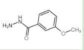cas5785-06-8|3-甲氧基苯酰肼