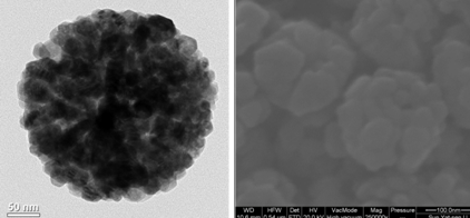 氧化锌(ZnO)纳米颗粒粉体