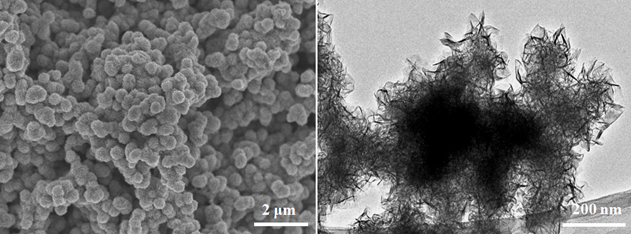 硫化钼(MoS2)纳米片(粉体)