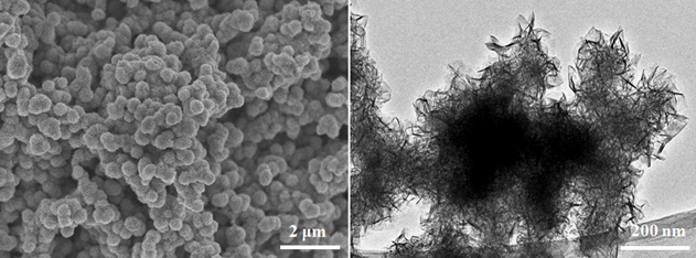 硫化钼（MoS2）纳米片(粉体）