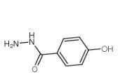 cas5351-23-5|4-羟基苯甲酰肼