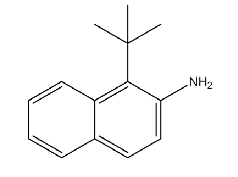 1-(tert-Butyl)naphthalen-2-amine,CAS:389104-55-6
