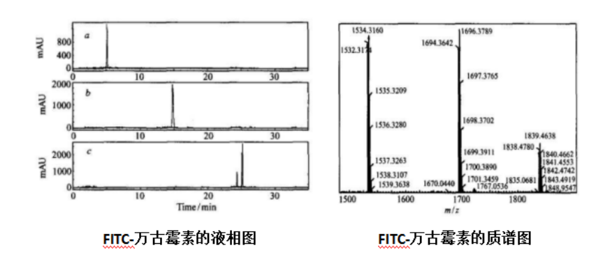 1594172294251452.png 几张图让您对FITC-万古霉素标记物了如指掌