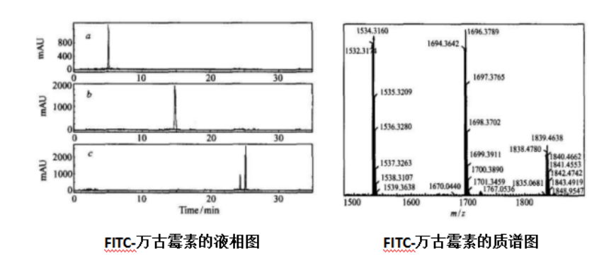 几张图让您对FITC-万古霉素标记物了如指掌