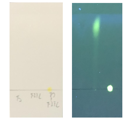 1594172364463469.png 几张图让您对FITC-万古霉素标记物了如指掌