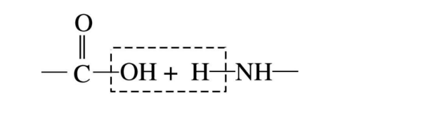 标记氨基用的荧光试剂需要含有哪些活性基团?