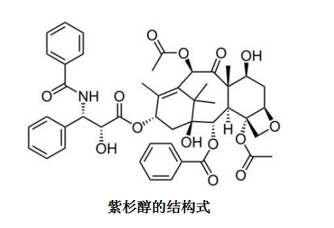 药物的荧光标记: 荧光素(FITC)化学修饰紫杉醇Paclitaxel(PTX)