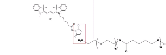 荧光染料标记高分子聚合物（PMMA、PAA、PAMAM、PLGA-FITC/CY7纳米粒）的合成步骤
