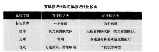 荧光素偶联抗体(单、多克隆抗体)的两种标记方法