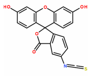 FITC标记白蛋白HSA|牛血清白蛋白BSA|链霉亲和素|亲和素Avidin|重组蛋白A|胰岛素Insulin等系列产品