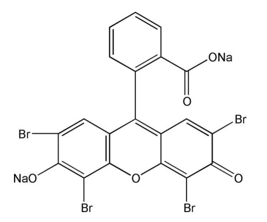 苏木素-伊红染液-水溶性伊红染料 Eosin Stain Kit的基本介绍