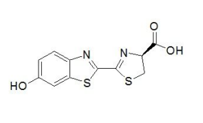 化学发光底物 D-荧光素 D-Luciferin  cas2591-17-5的使用方法