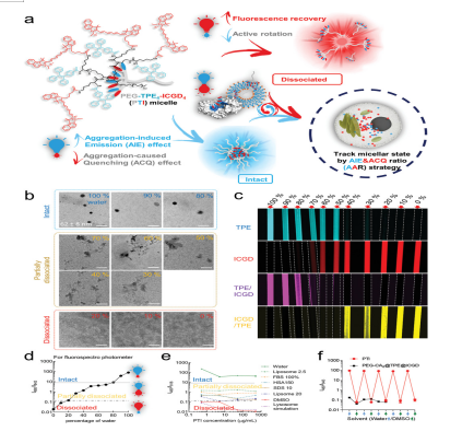 生物开发了一种先进的探针PEG5k‐TPE4‐ICGD4 (PTI)