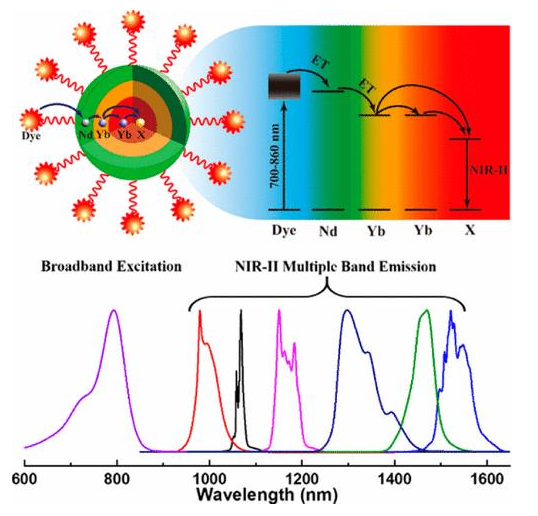 近红外ICG修饰上准换NaYF4:Yb3+/X3+@NaYbF4:Nd3+核壳结构纳米粒子