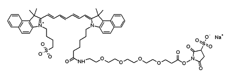 关于ICG-Sulfo-EG4-OSu的介绍，分子量多少？