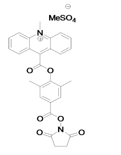 提供几种常见的吖啶脂NSP-DMAE-NHS|NSP-DMAE-NHS化学发光试剂的基本参数