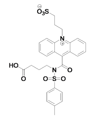 提供几种常见的吖啶脂NSP-DMAE-NHS|NSP-DMAE-NHS化学发光试剂的基本参数