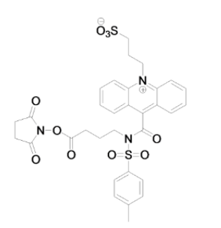提供几种常见的吖啶脂NSP-DMAE-NHS|NSP-DMAE-NHS化学发光试剂的基本参数
