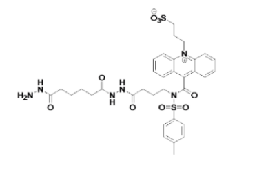 提供几种常见的吖啶脂NSP-DMAE-NHS|NSP-DMAE-NHS化学发光试剂的基本参数