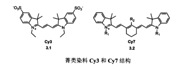 1632474830146907.png 几类常见的近红外小分子荧光探针介绍(菁类Cy、氟硼吡咯BODI PY、罗丹明RB)