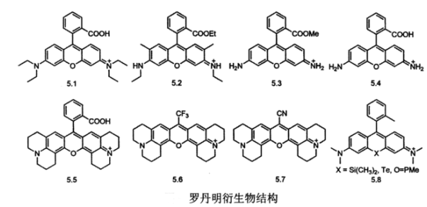 1632474938933606.png 几类常见的近红外小分子荧光探针介绍(菁类Cy、氟硼吡咯BODI PY、罗丹明RB)