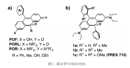 用于单分子定位成像的新型罗丹明染料-磷杂罗丹明(含合成方法及光物理性质)