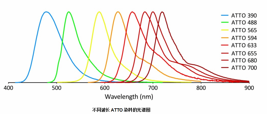 ATTO 465琥珀酰亚胺酯,​ATTO 465,SE|ATTO荧光染料产品介绍