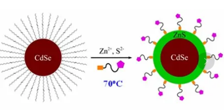 水溶性羧基化CdSe/ZnS量子点介绍