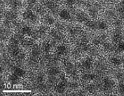壳核油溶性荧光InP/ZnS量子点生物应用优势说明
