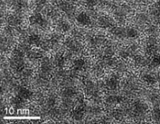 1635306489971973.png 壳核油溶性荧光InP/ZnS量子点生物应用优势说明