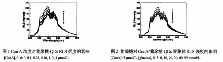一文带你了解​CdSe量子点表面修饰糖类小分子