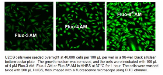 1636600557933131.png Fluo 3-AM 钙荧光探针 cas121714-22-5的的应用和检测原理以及使用说明书