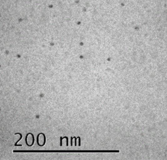 近红外二区量子点都有那些呢？本文带你了解两种不同的近红外二区量子点（PbSe/PbS)