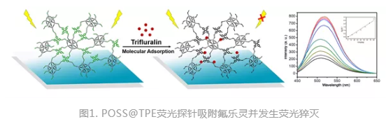 四苯乙烯功能化笼型聚倍半硅氧烷新型荧光探针POSS@TPE(激发波长434nm，发射波长518nm)